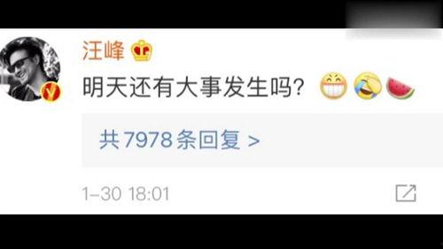 吃瓜娱乐圈的软件是什么,吃瓜娱乐圈背后的热门软件