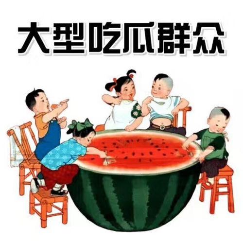 娱乐吃瓜自我介绍怎么写,我的趣味生活与八卦心得