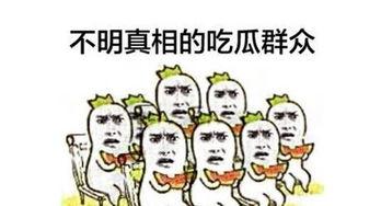 吃瓜群众还可以怎么说