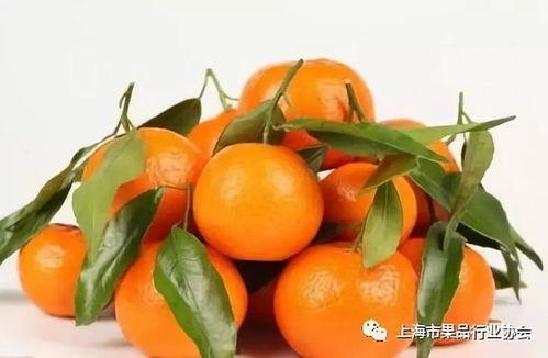 娱乐吃瓜橘子,揭秘娱乐圈那些不为人知的幕后故事