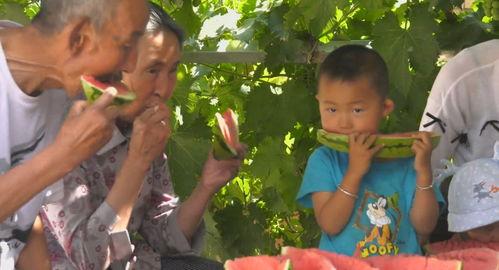 娱乐吃瓜群众集合视频,吃瓜群众视角下的精彩瞬间