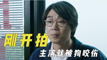 娱乐吃瓜君怎么啦,揭秘幕后真相